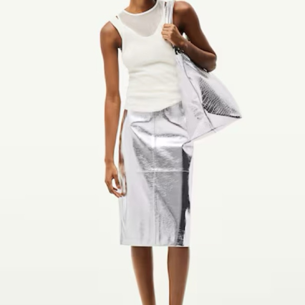 H&M sold out silver skirt